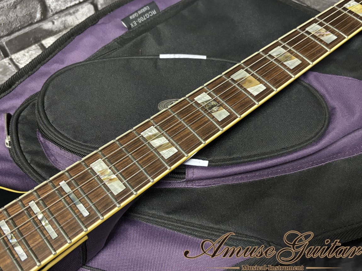 Ibanez DT555 Destroyer II Phil Collen Model Black 1984