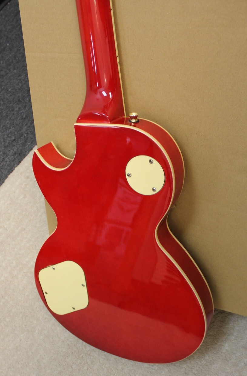 Arbor AP230 Single Cut LP Style Electric Guitar w/Bag