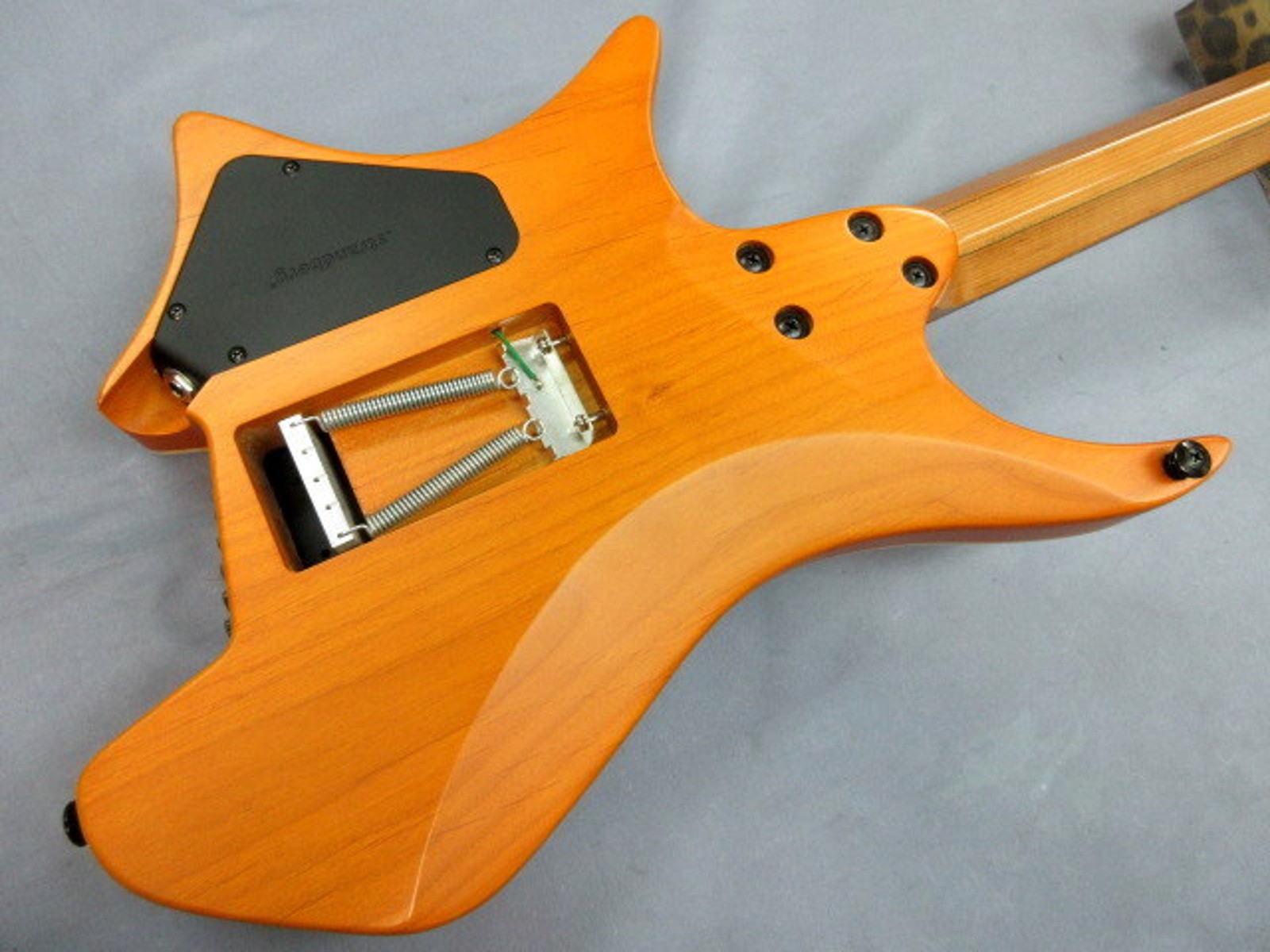 strandberg Boden Fusion 6 Pau Ferro Used 2019 Alder Body w/Soft Case