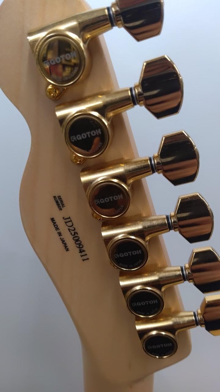 Fender Richie Kotzen Telecaster Sunburst Gold Hardware Made in Japan 2025 Guitar