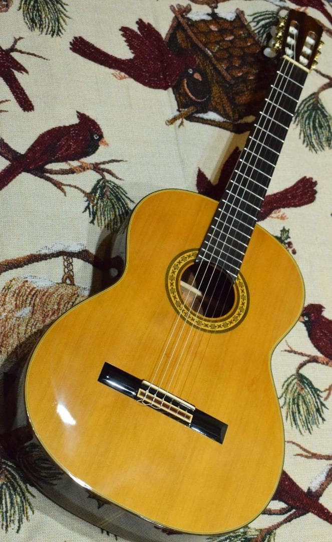 TAKAMINE No.30 Made in 1989 Top veneer with case