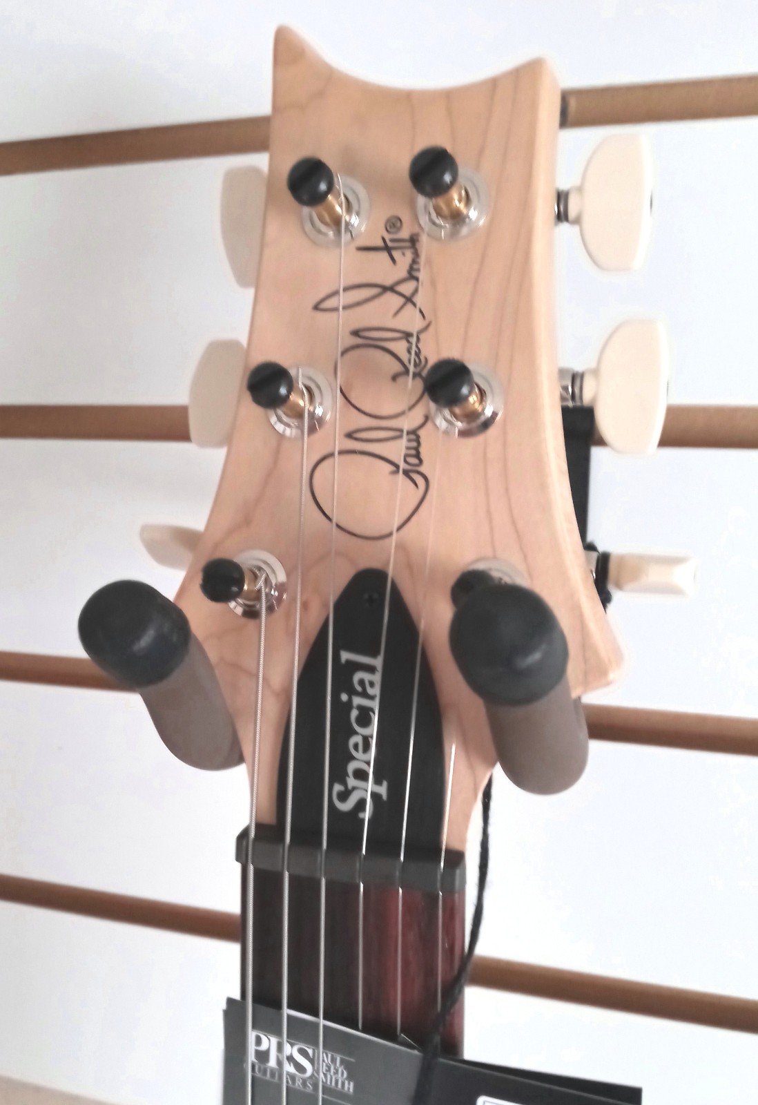 Paul Reed Smith PRS Swamp Ash Special Guitar White Doghair Smokeburst Rosewood