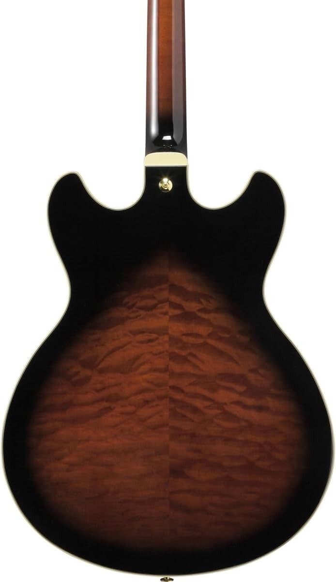 Ibanez/Artcore Expressionist AS93QMSP DBS (Dark Brown Sunburst) SPOT MODEL