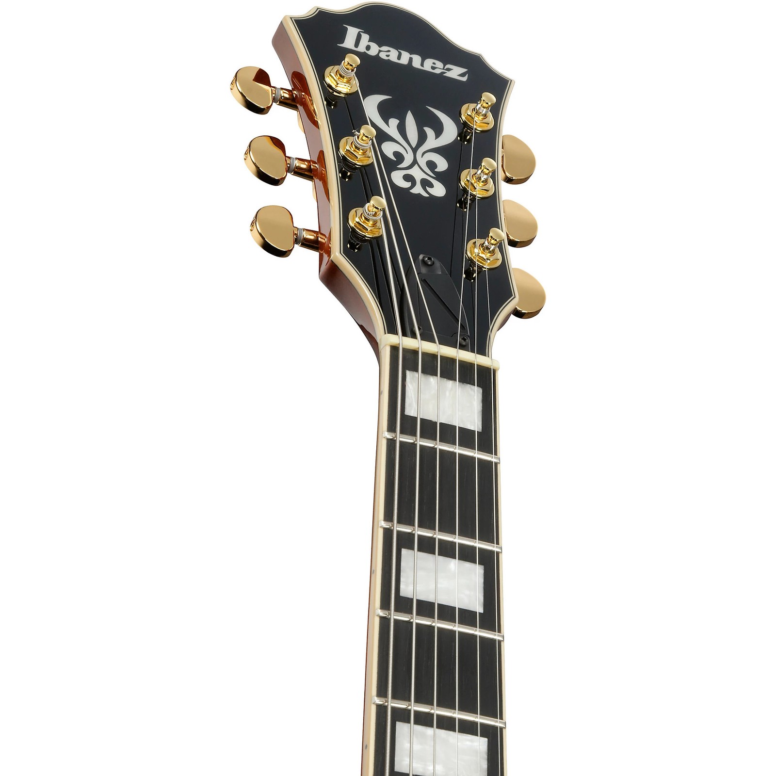 Ibanez AG95MG Artcore Expressionist Hollowbody Electric Guitar Ebony, Dark Amber