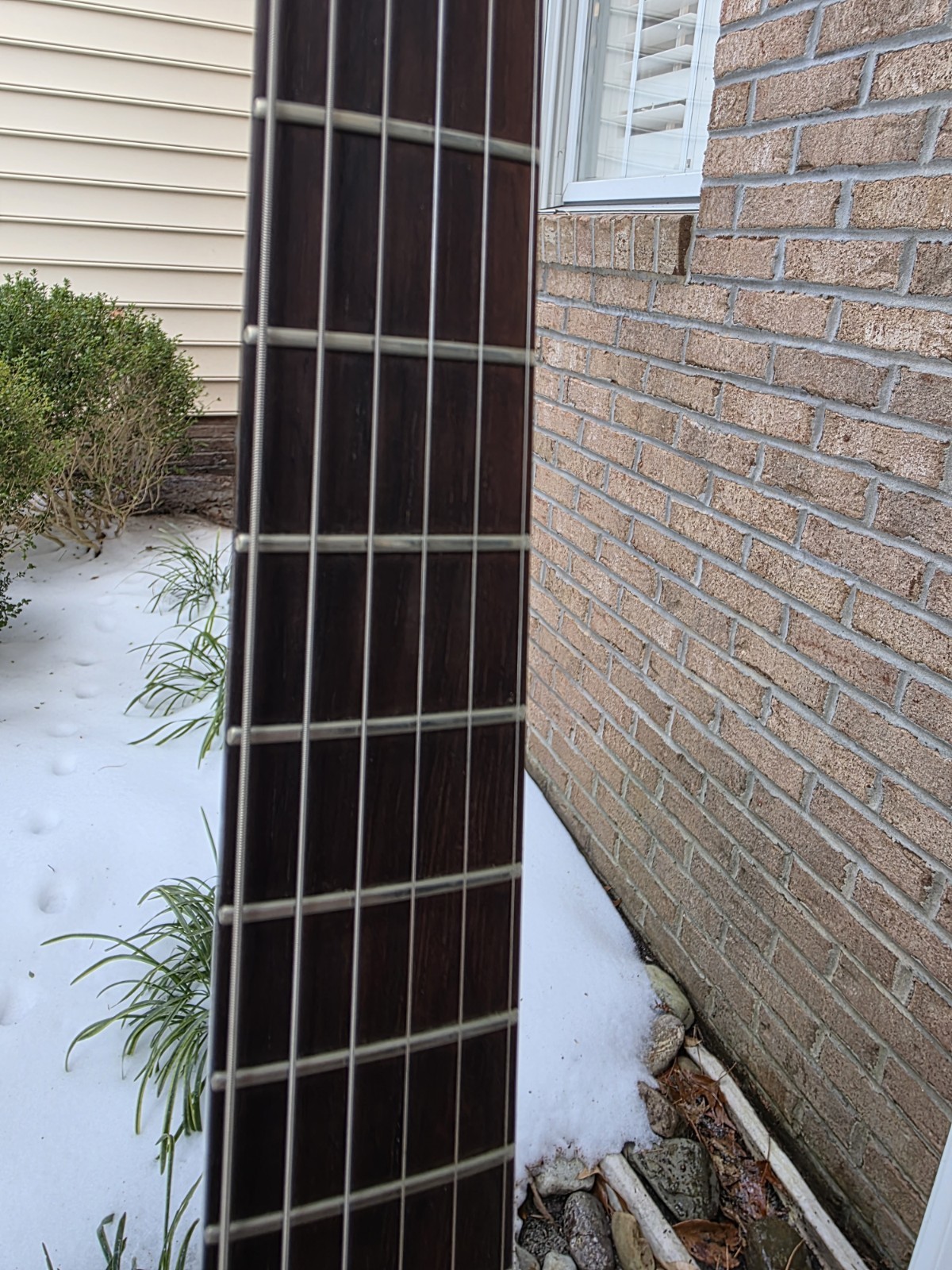Brubaker KXG-1 Guitar USA Burled EXOTIC WOOD Walnut Xena Bubinga Maple