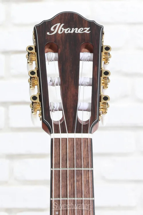 Ibanez FRH10N Thinline Nylon Acoustic-electric Guitar – Rose Gold Metallic Flat