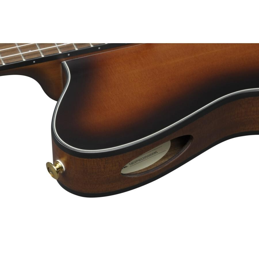 Ibanez FRH10N-BSF Nylon Electric Guitar Brown Sunburst Flat FR Hollow Body