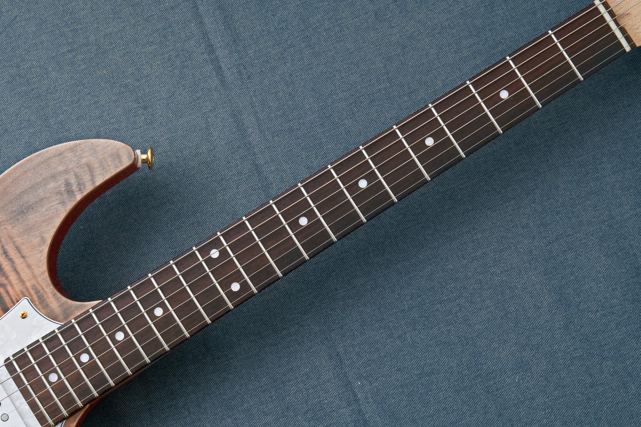 FUJIGEN(FGN) EOS2-FM-R -Ripe Kaki Gradation- RKG 3.75kg Made in Japan #GG1g1