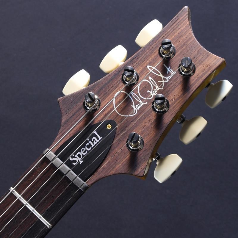 Paul Reed Smith(PRS) Wood Library Special Semi-Hollow (Honey Gold) #25 0402029