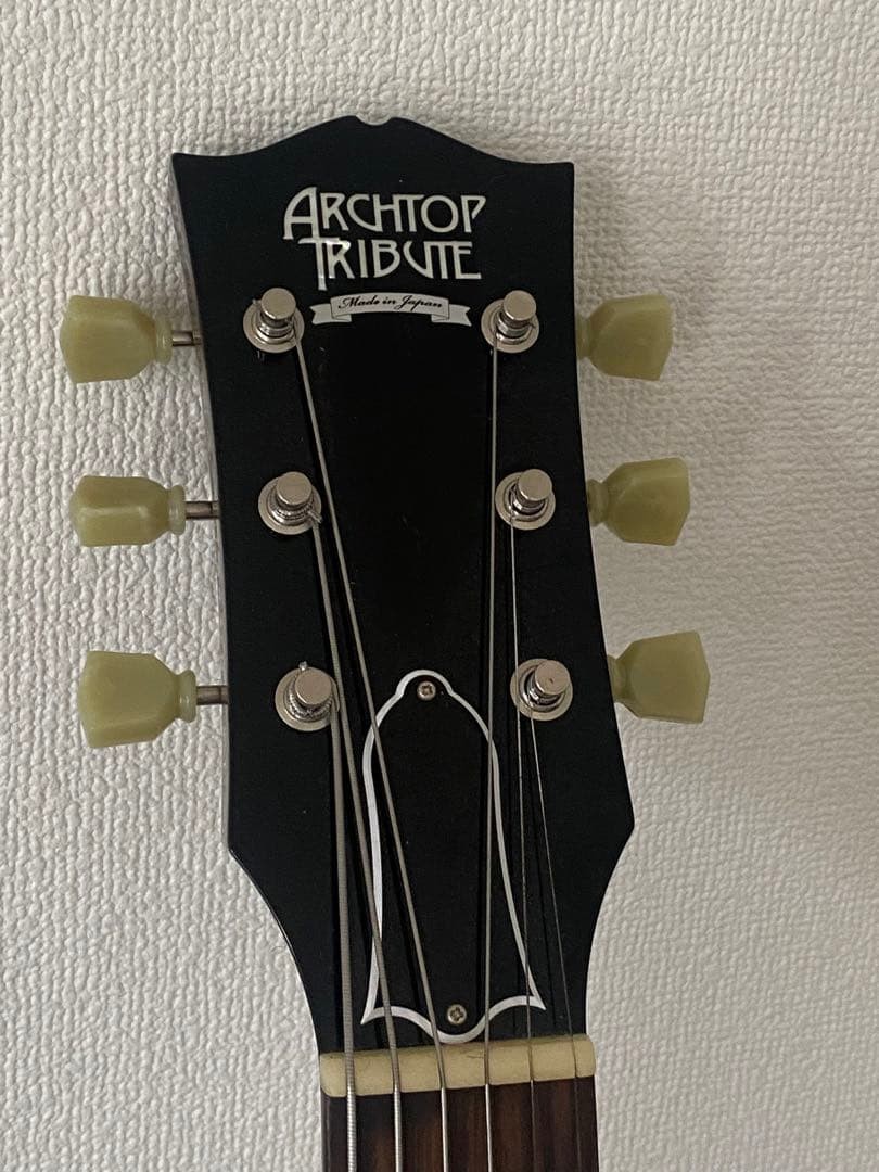 Archtop Tribute Electric Guitar