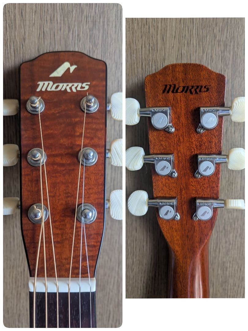 Rare Morris MF-702 MIJ Acoustic Guitar Solid Spruce Top Hawaiian Koa w/ Case