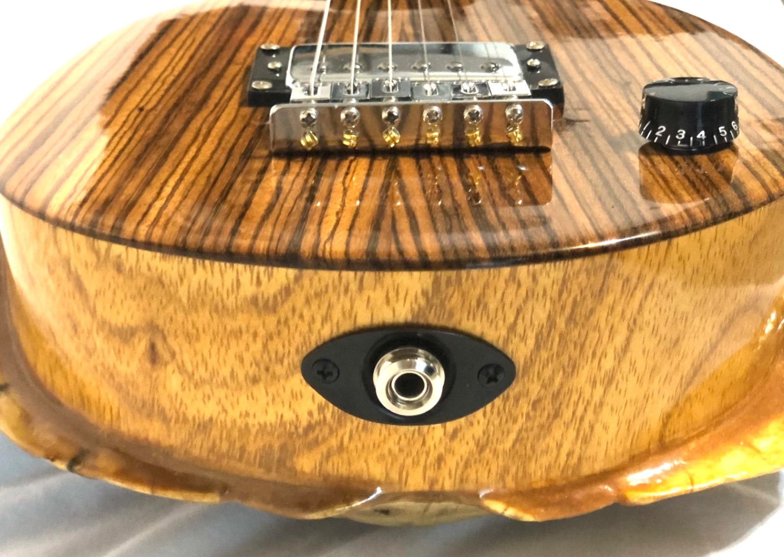 Turtle Shell Electric Guitar