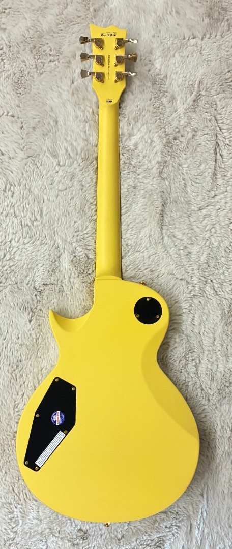 LTD by ESP Model EC-256 Vintage Gold Satin Finish Single Cutaway Electric Guitar