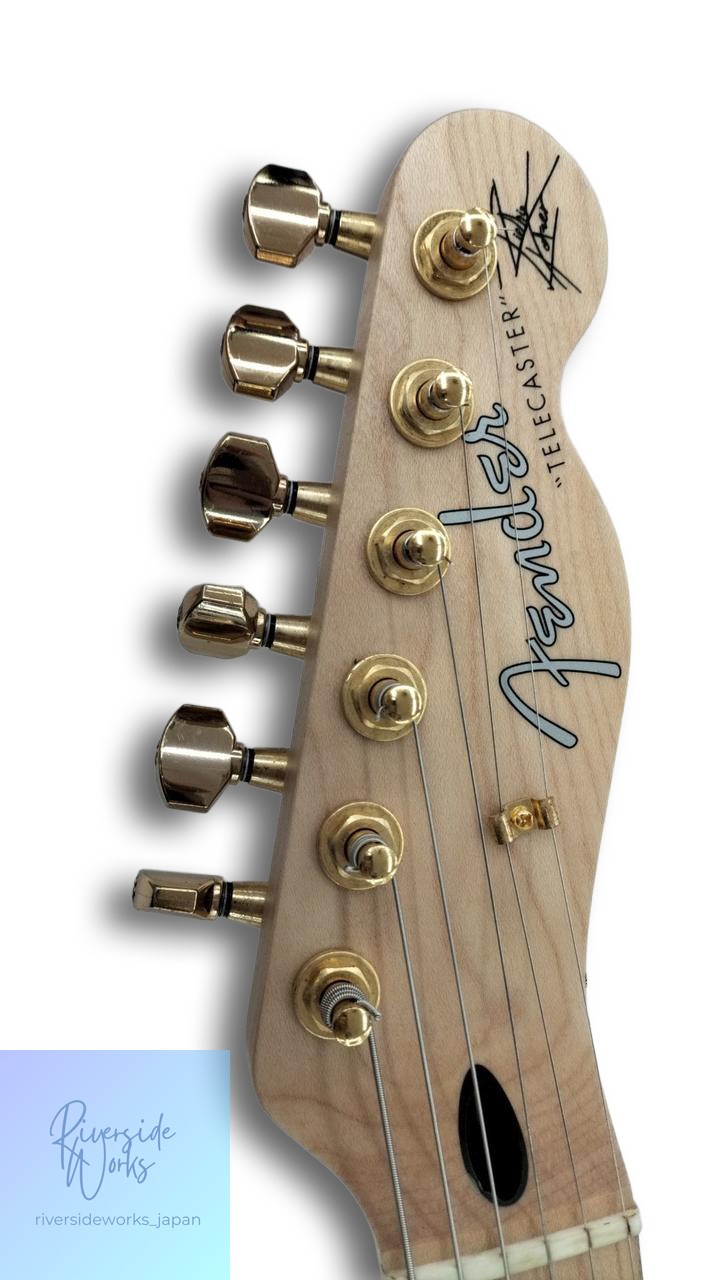 FENDER JAPAN Electric Guitar RICHIE KOTZEN TELECASTER