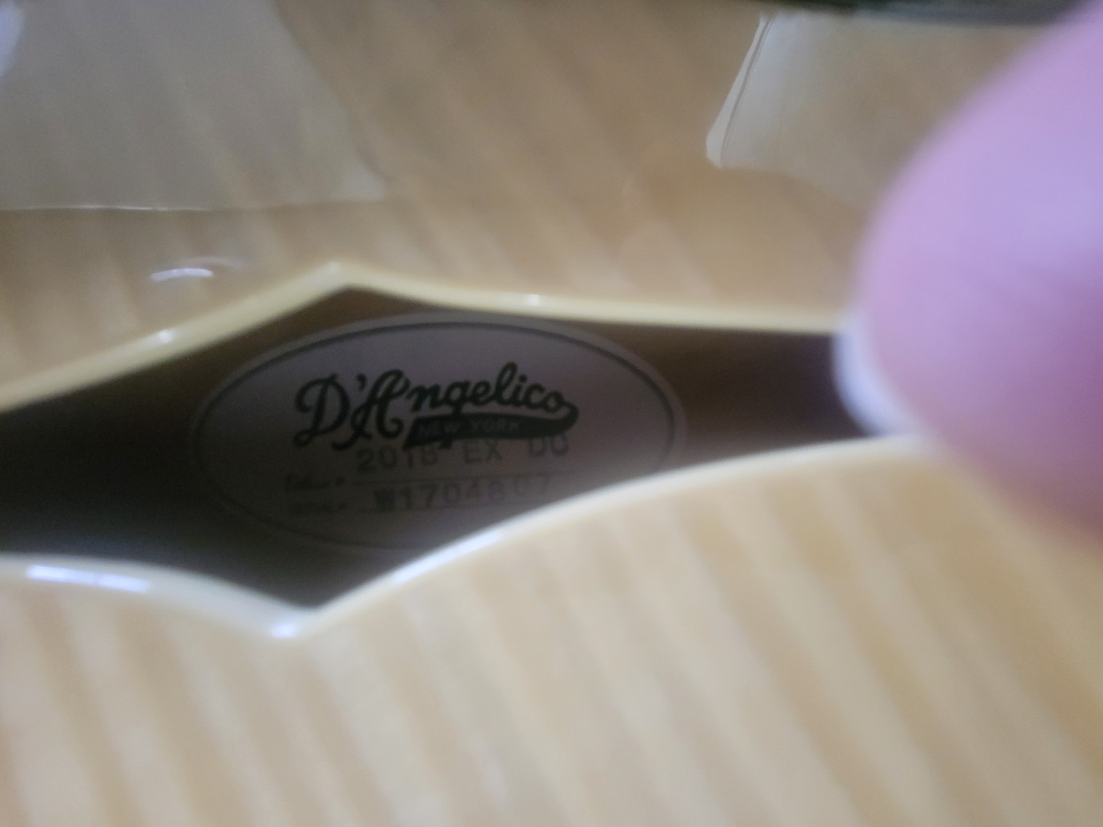 D’Angelico Newyork Excel Guitar