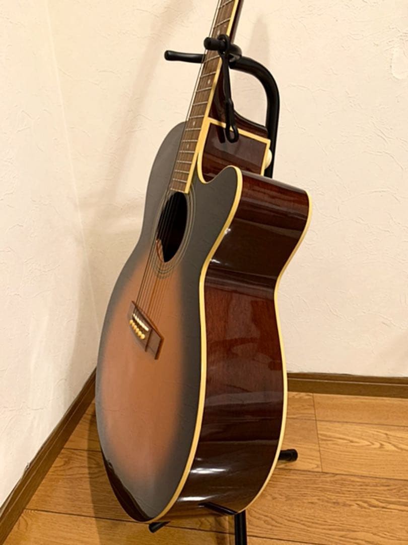 Takamine Acoustic Guitar