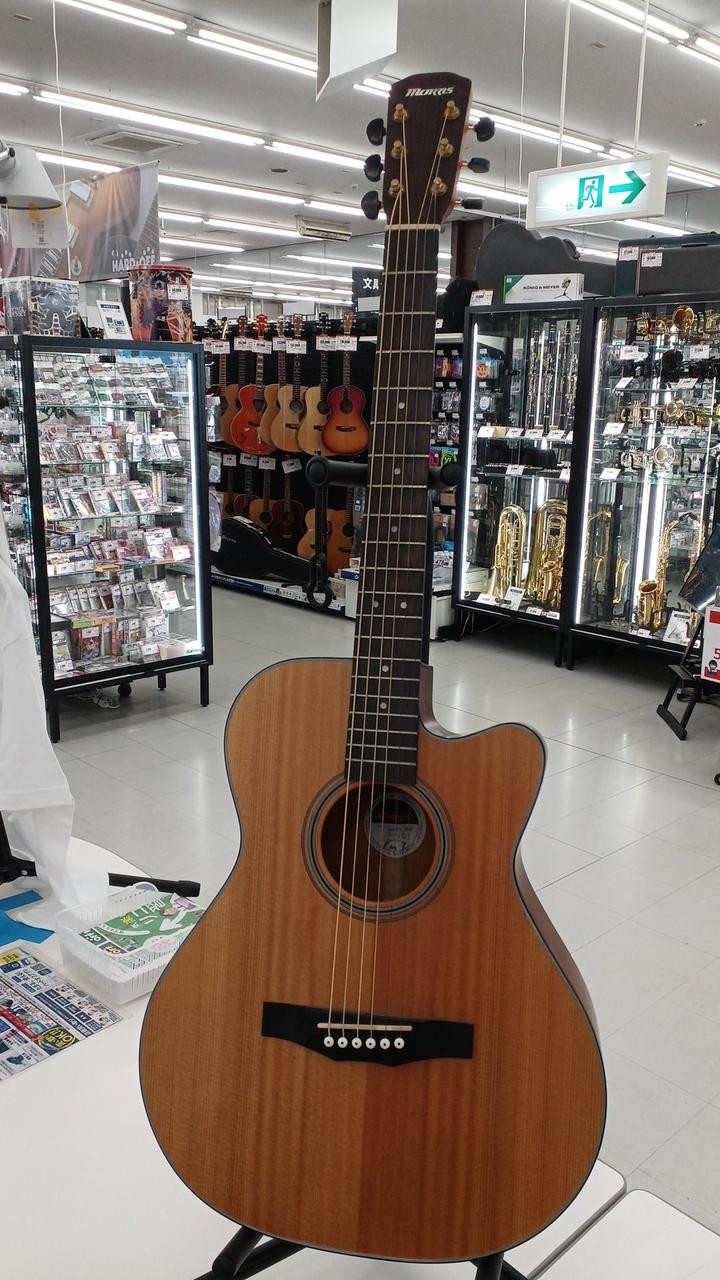 Morris SA-40 Acoustic Guitar Solid Spruce Top w/ Case Discontinued Product