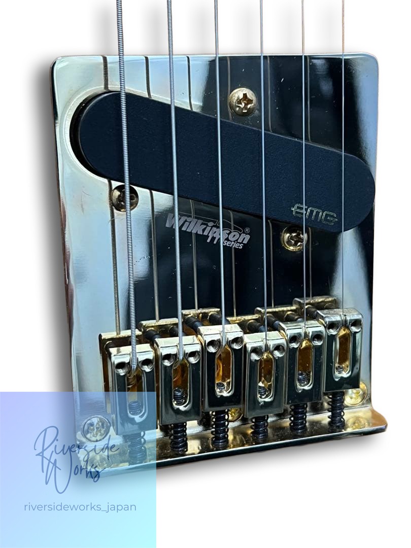 Aria Pro II TEG-780 with Warranty and Gig Bag Ready to Ship
