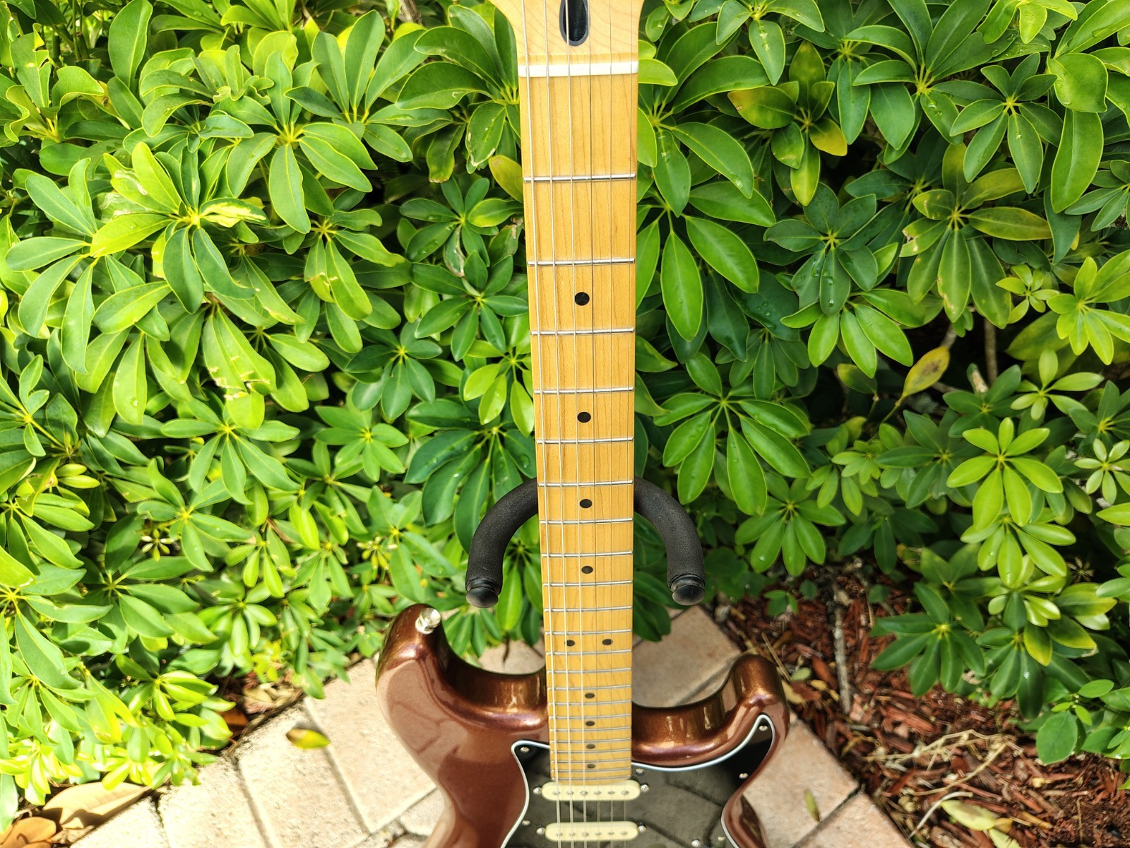2016 Fender Deluxe Roadhouse Strat Stratocaster Classic Copper *UNPLAYED*