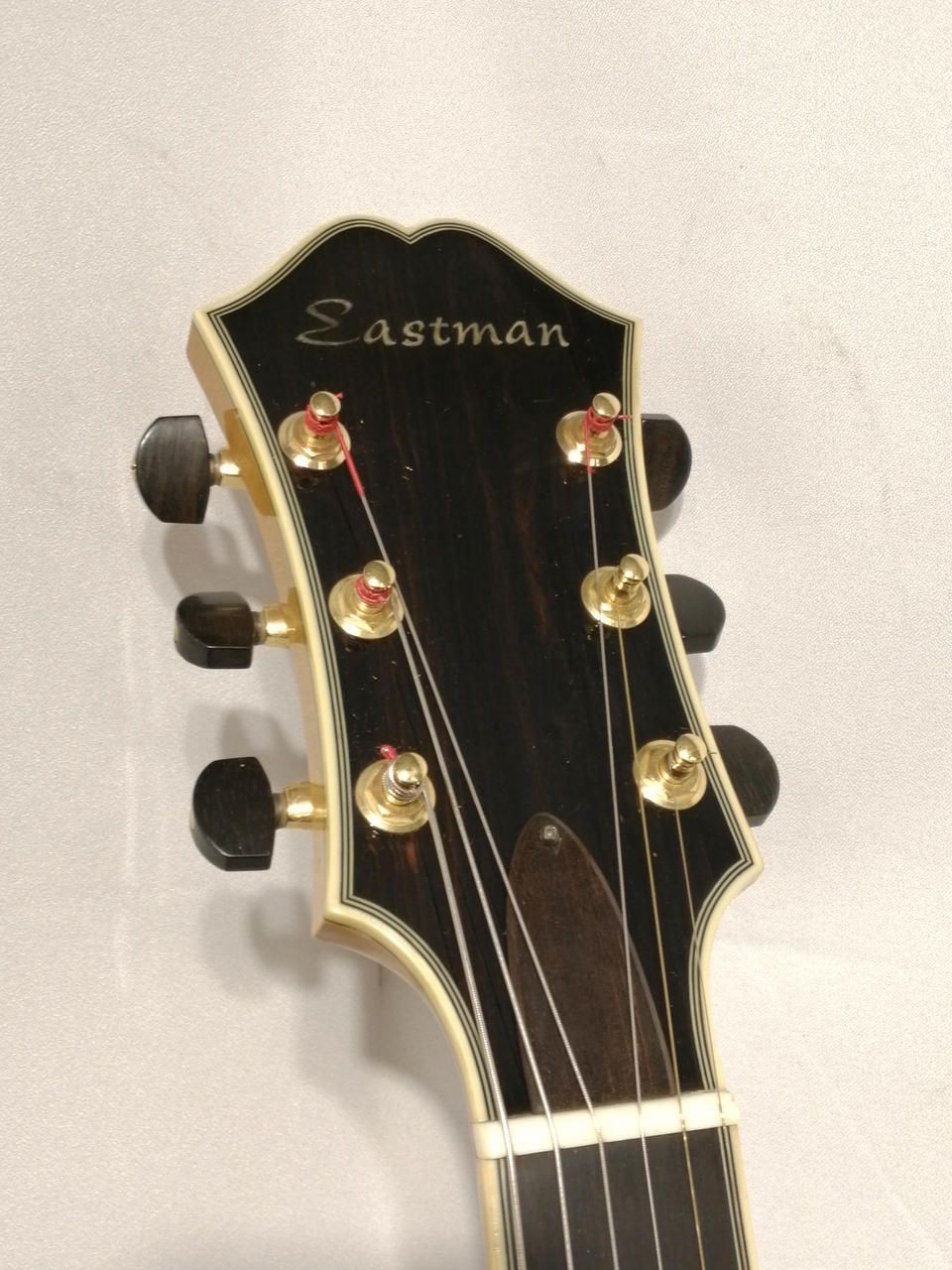 EASTMAN Electric Guitar Ar-810CE Used