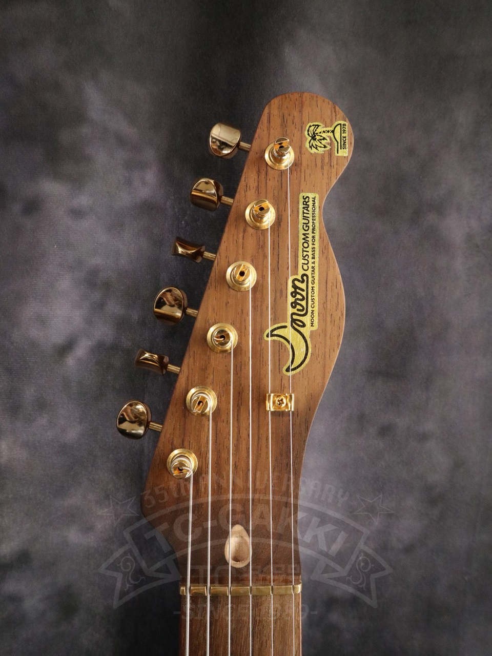 Moon TE-C Rosewood Neck Electric Guitar Part