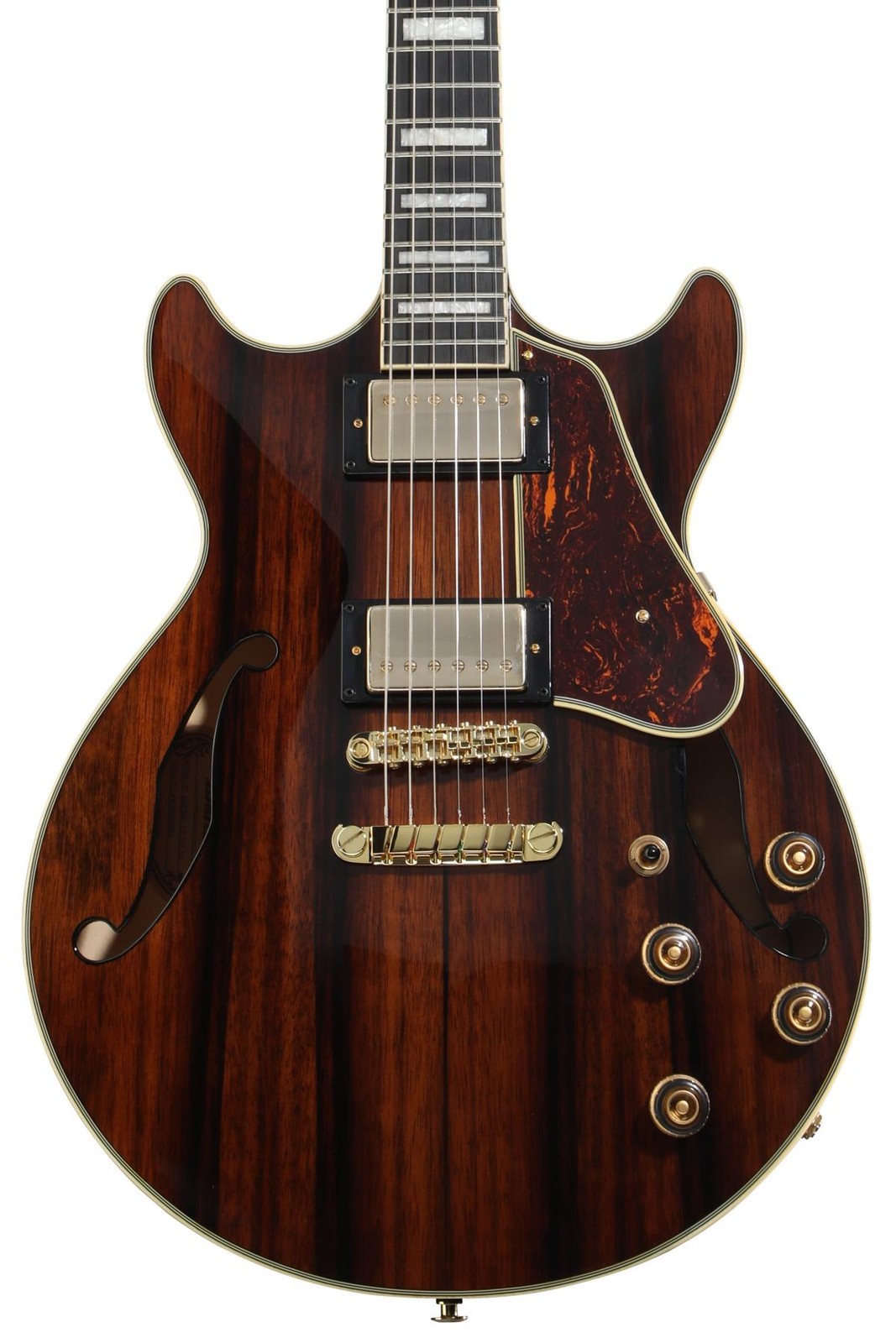 Ibanez AM93MENT + Snark ST-8 + Dunlop PVP101 + Levy’s M8POLY-BLK Value Bund