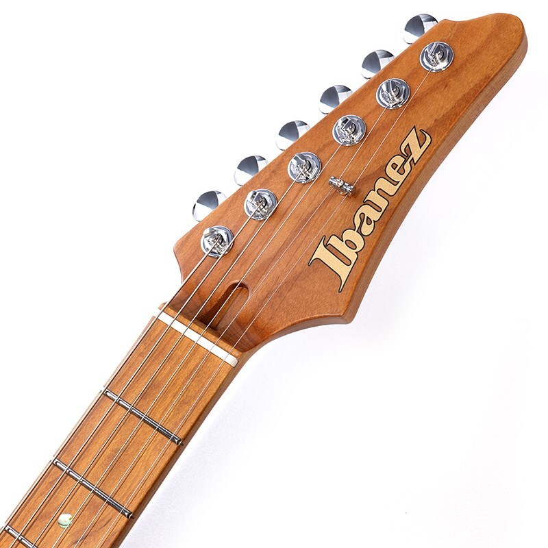 New Ibanez Prestige AZS2209B-BK SPOT MODEL 764485 Electric Guitar