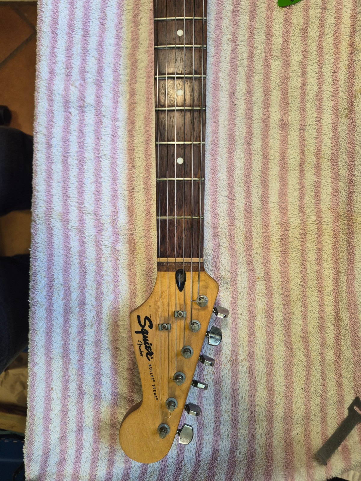 Squier Stratocaster • Bullet® Strat® with Tremolo, Rosewood Fingerboard. Nice!