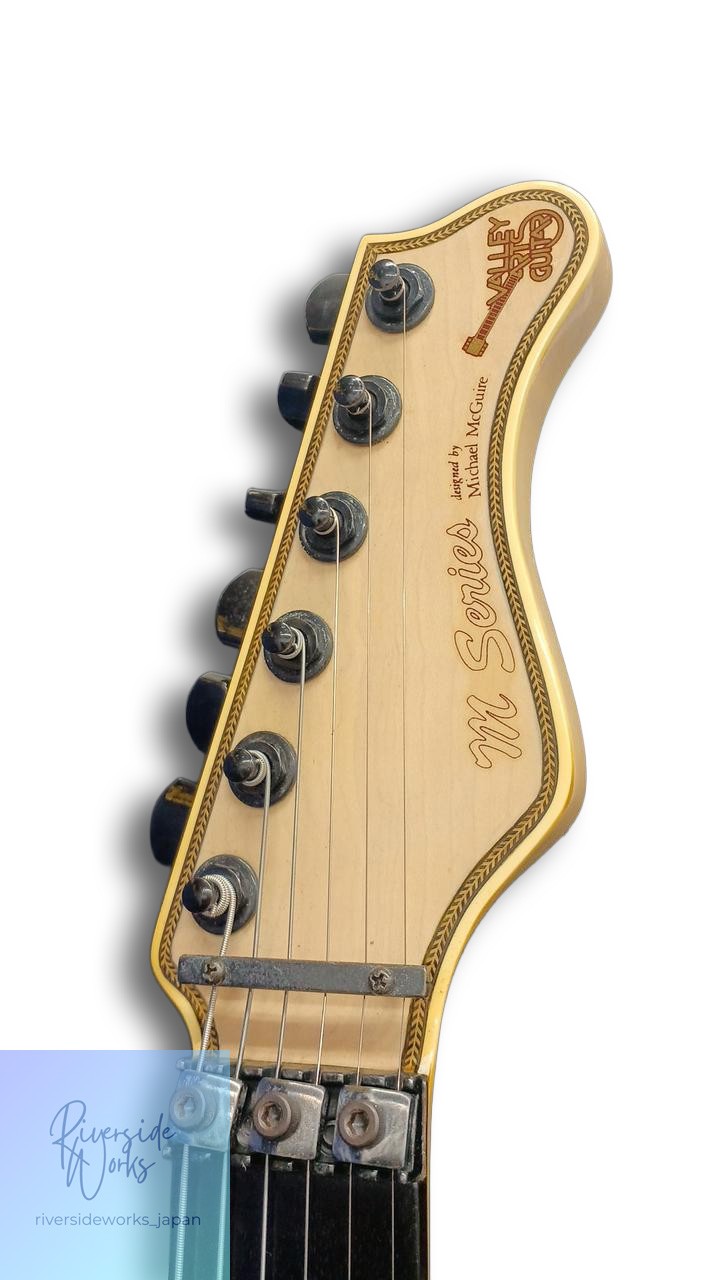 Valley Arts Electric Guitar M Series Professional Quality JP