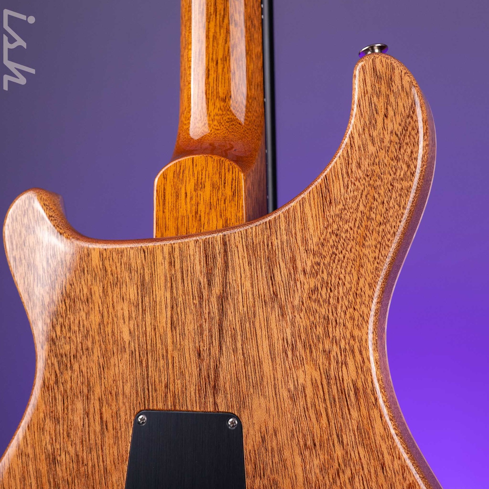 PRS DGT Semi-Hollow Tiger Eye Moon Inlays