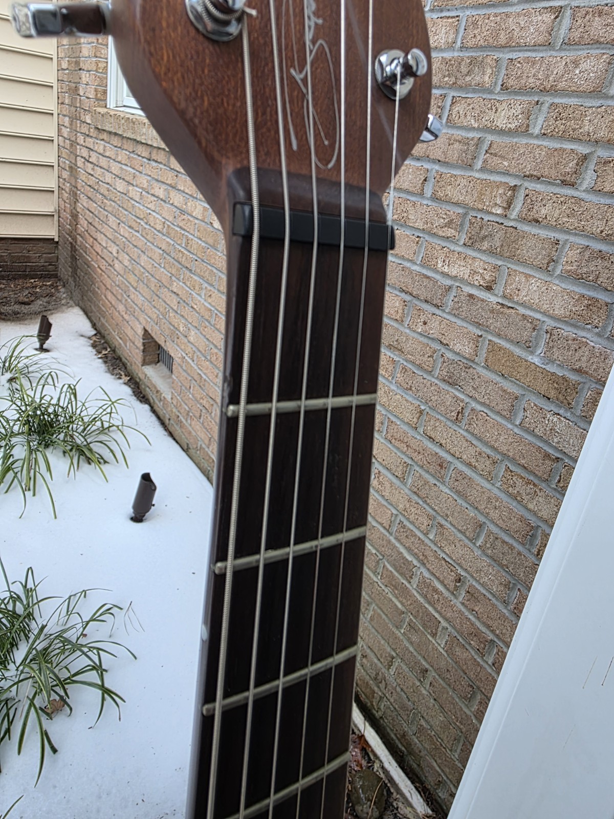 Brubaker KXG-1 Guitar USA Burled EXOTIC WOOD Walnut Xena Bubinga Maple