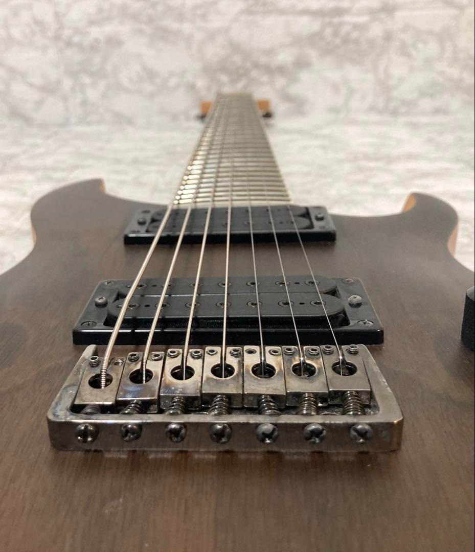 PRS Paul Reed Smith SE Mark Holcomb SVN Beveled Walnut Top Natural Satin