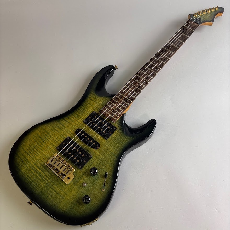 Aria Pro Ii Magna Series Hsh Model Safe delivery from Japan