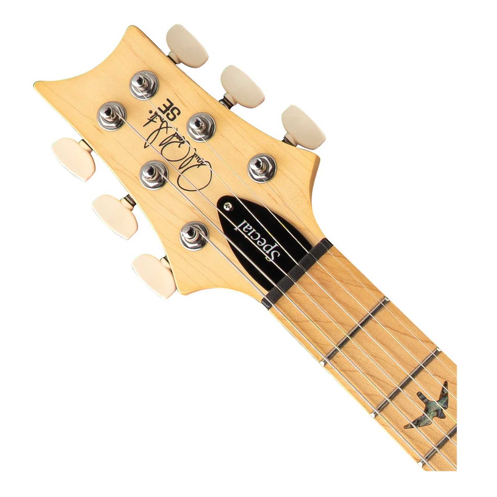 PRS SE Swamp Ash Special Electric Guitar – Iri Blue