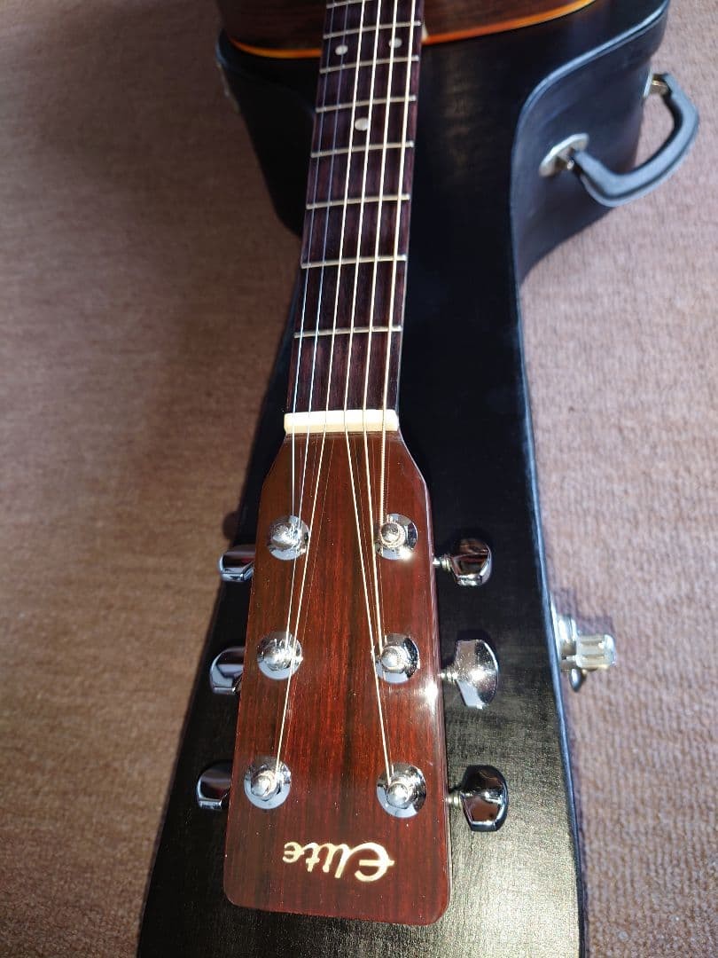 takamine Elite tw-30 acoustic guitar with hard case