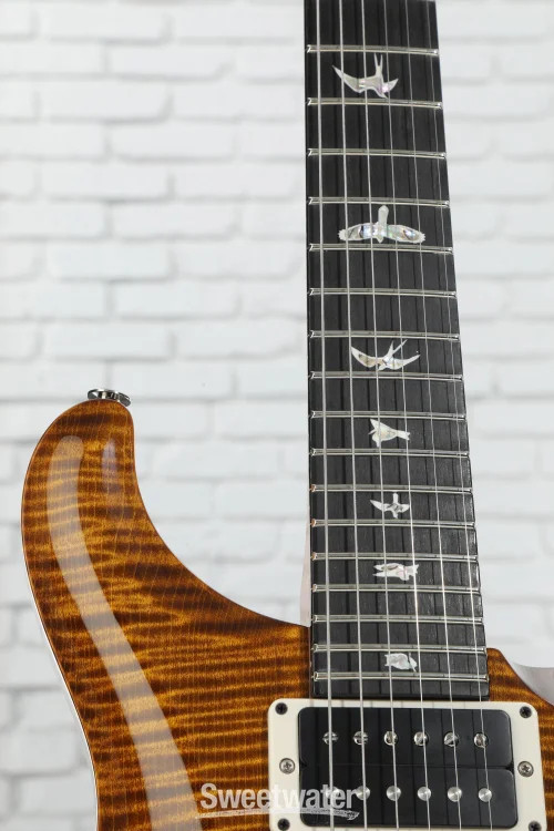 PRS Custom 24 “Floyd” 10-Top Electric Guitar – Black Gold