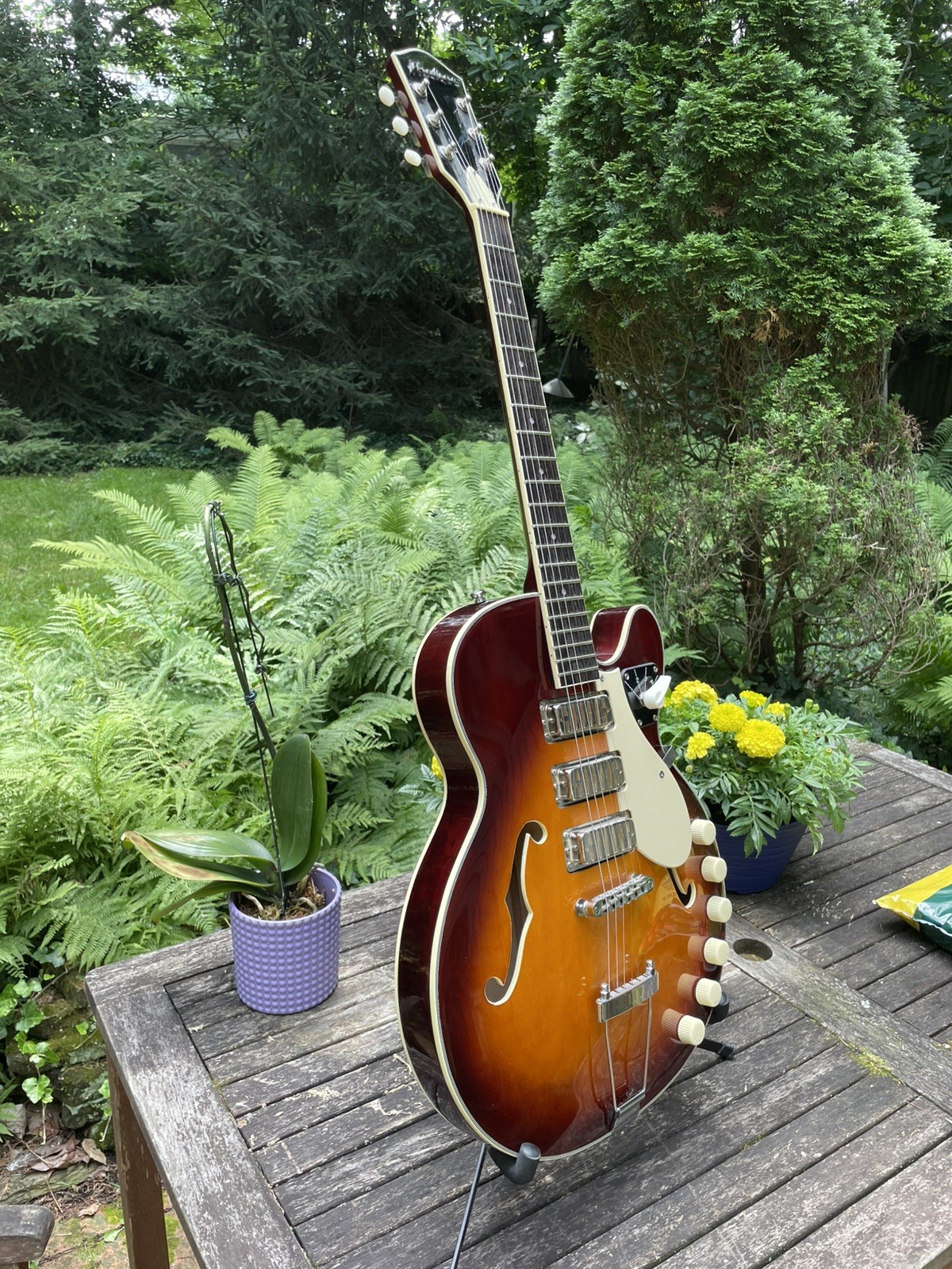 Airline / Eastwood Guitars H59 Honeyburst