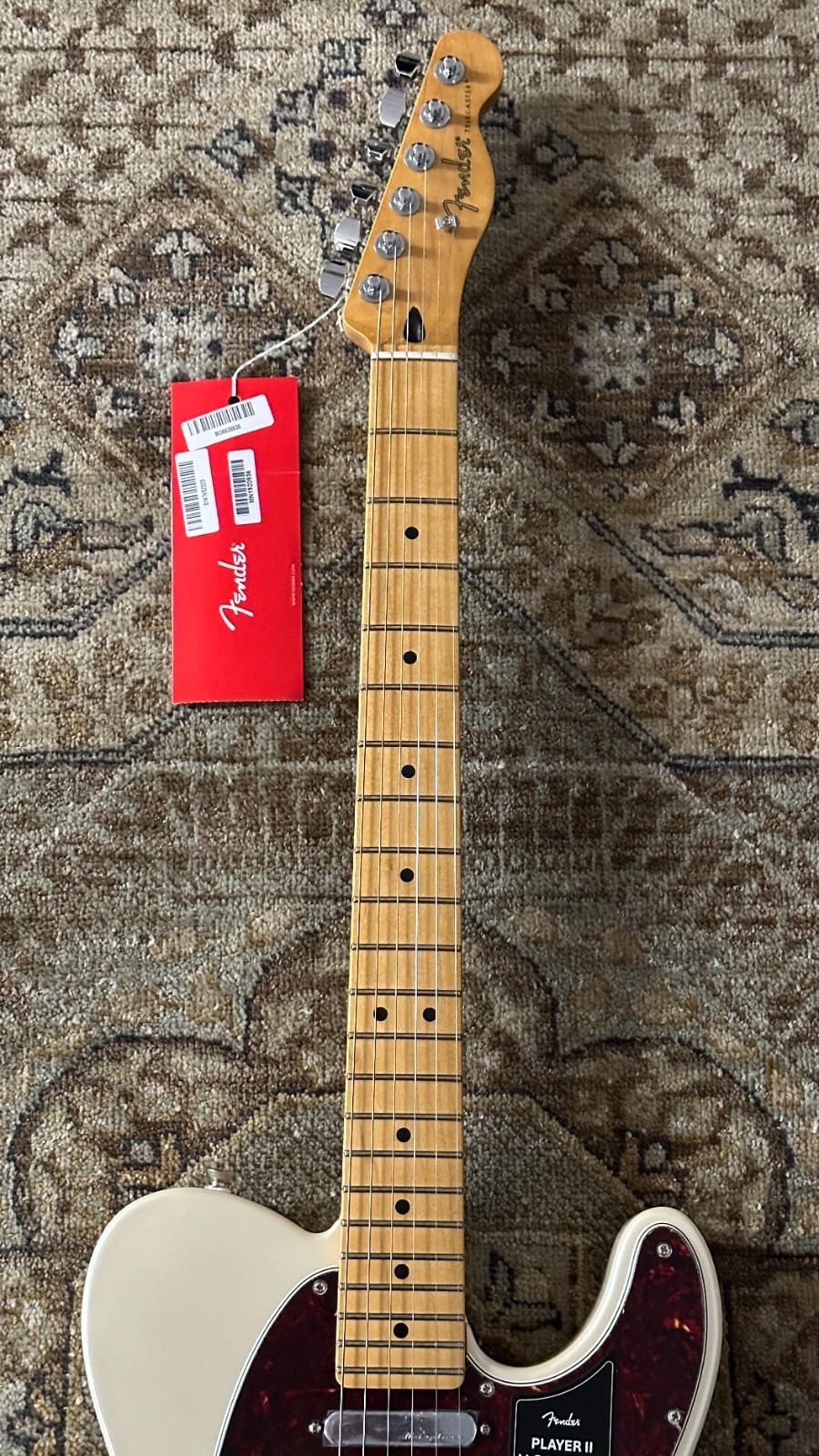 Fender Player II Modified Telecaster w/ Gig Bag and Free Pro Setup