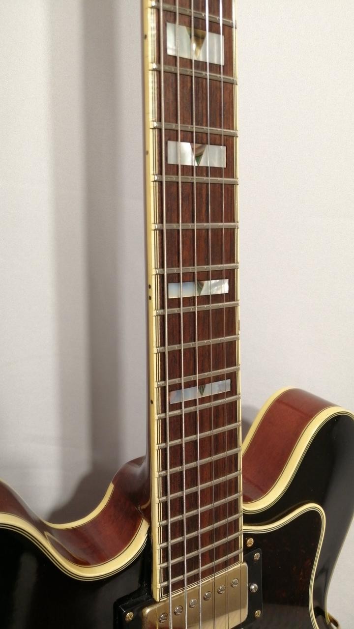 EPIPHONE SHERATON Ⅱ Electric Guitar