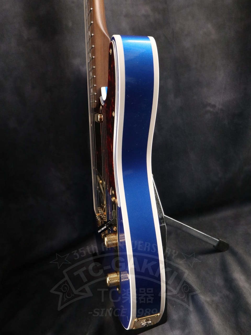 Moon TE-C Rosewood Neck Electric Guitar Part