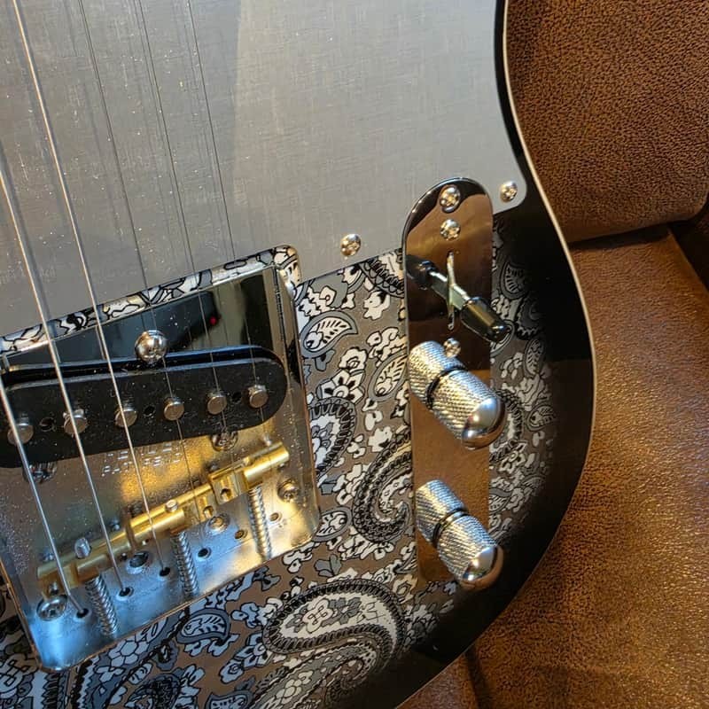 Partscaster Custom Telecaster Paisley