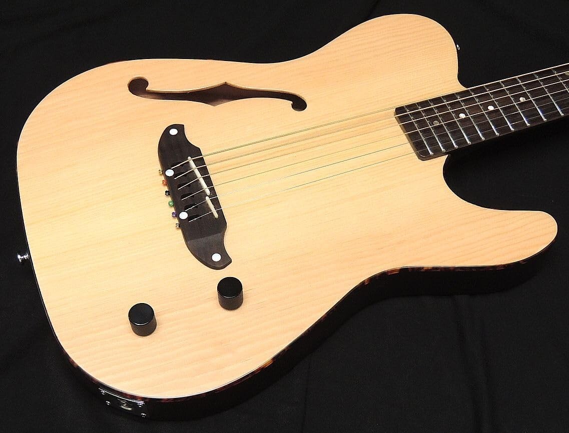 SCHECTER OL-FL-P SNTL Oriental Line Thin Body F Hole Electric Acoustic Guitar