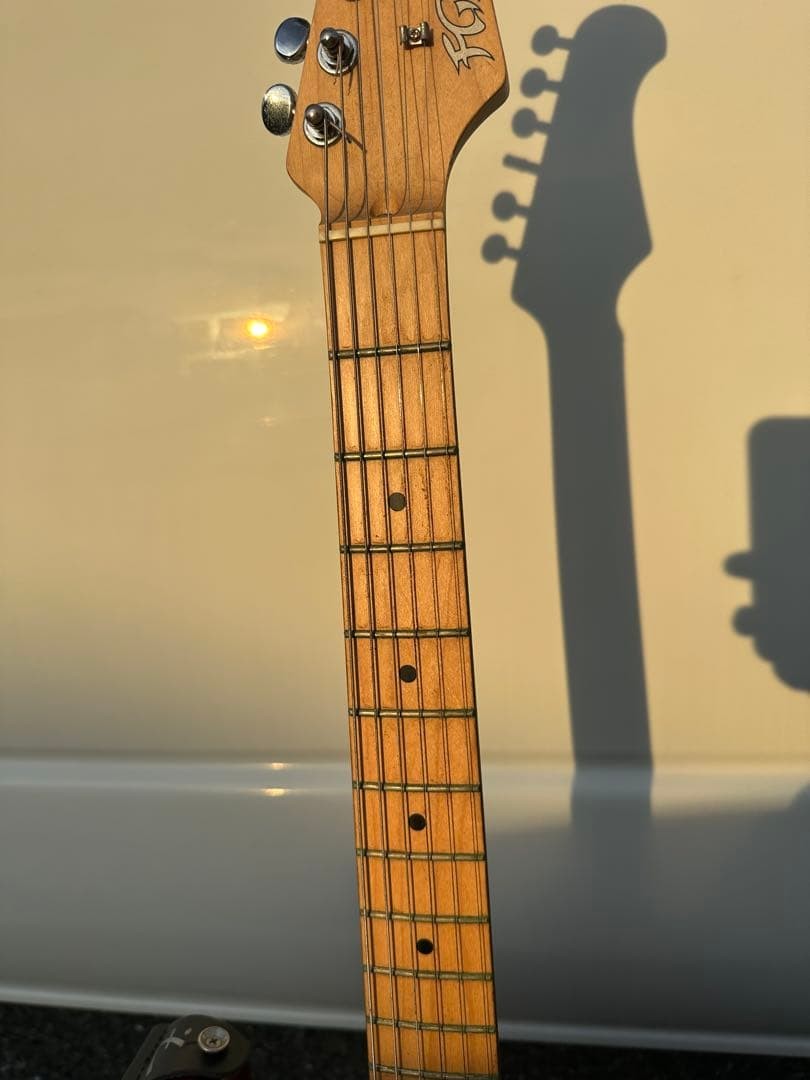 Fujigen Fgn Electric Guitar Stratocaster Type