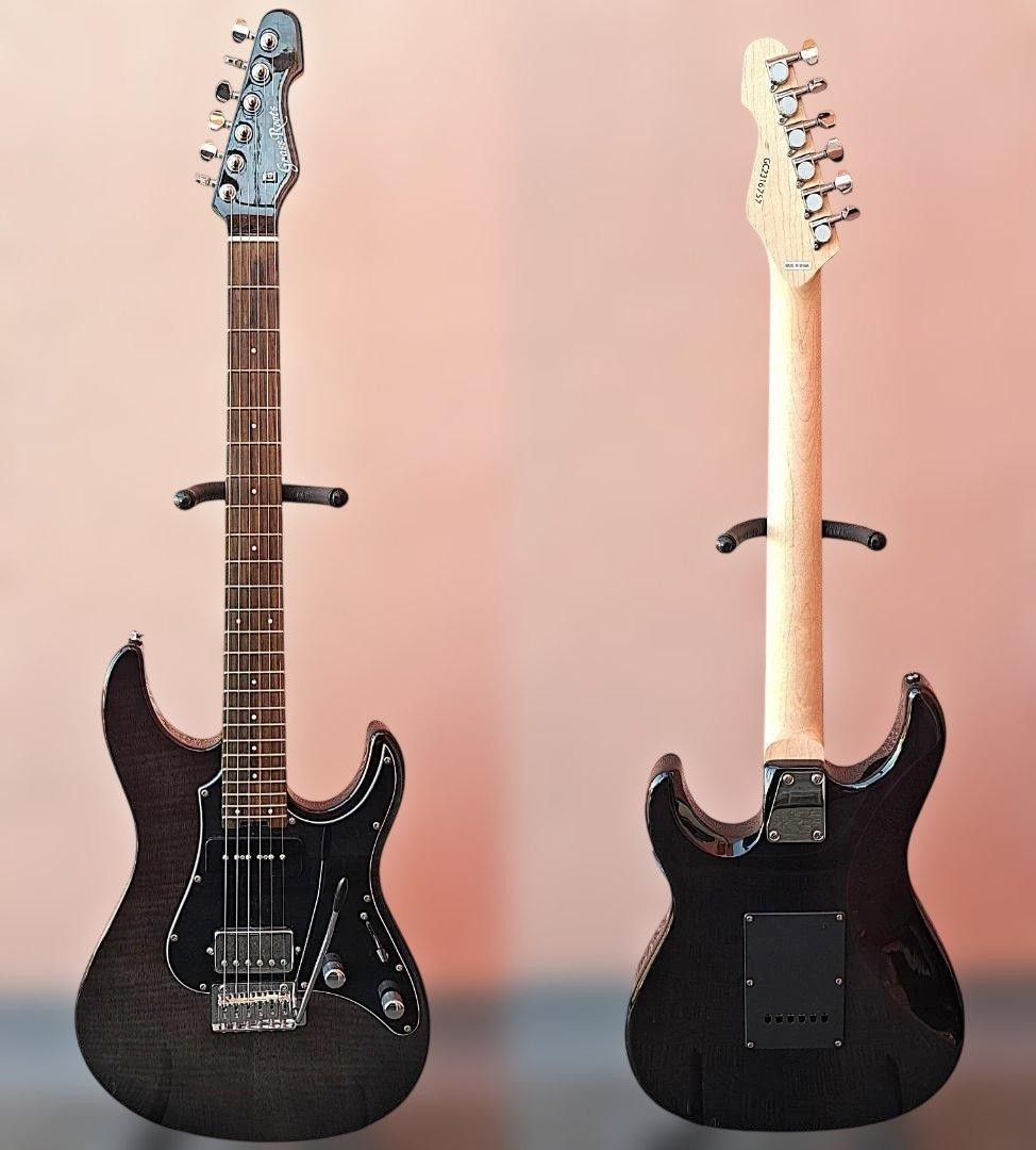 GrassRoots G-SNAPPER-CTM P ESP Flamed Maple Veneer Electric Guitar Black Gray