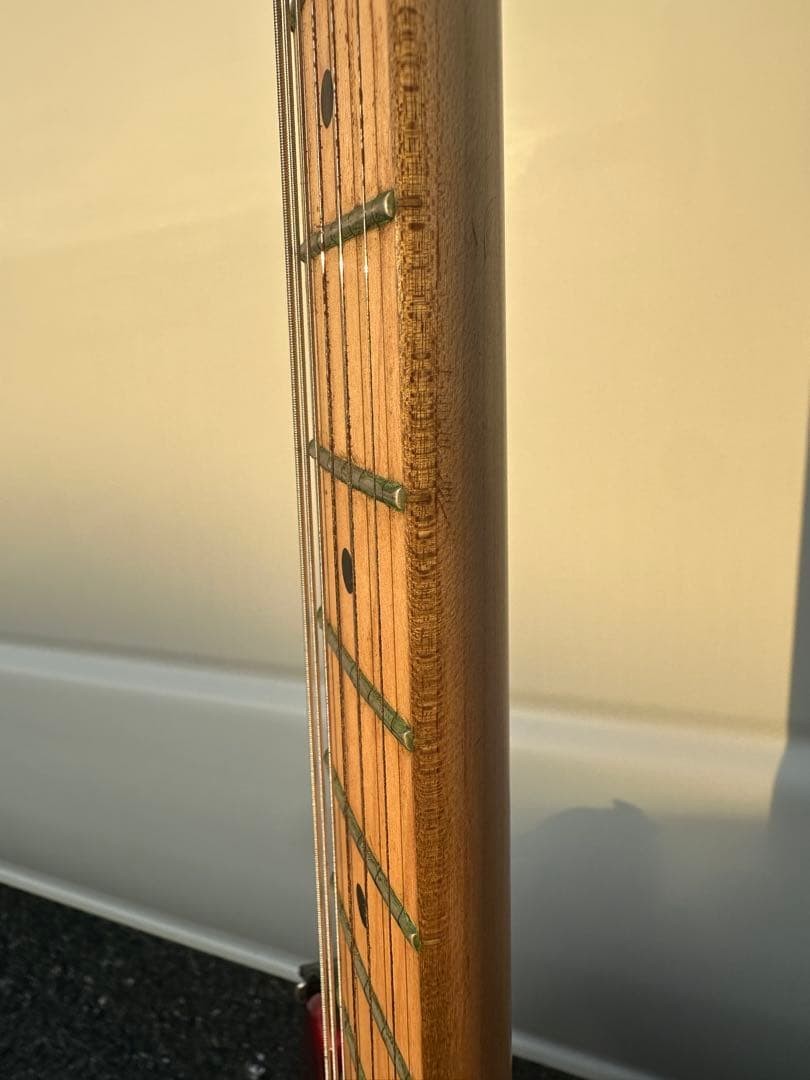 Fujigen Fgn Electric Guitar Stratocaster Type