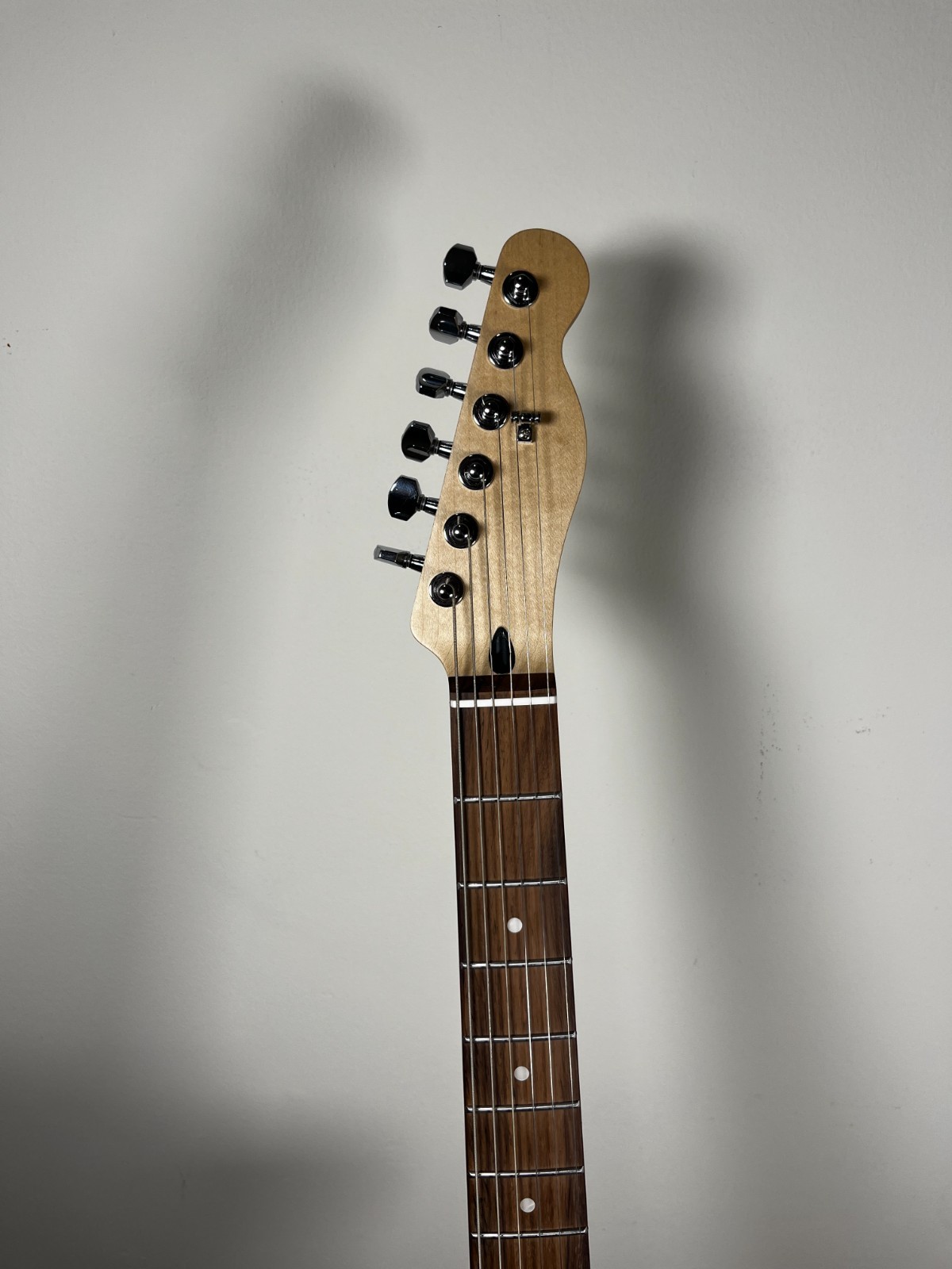 Catalyst – Semi-Hollow Electric Guitar – FREE HARDCASE & SHIP(ES225/Tele hybrid)