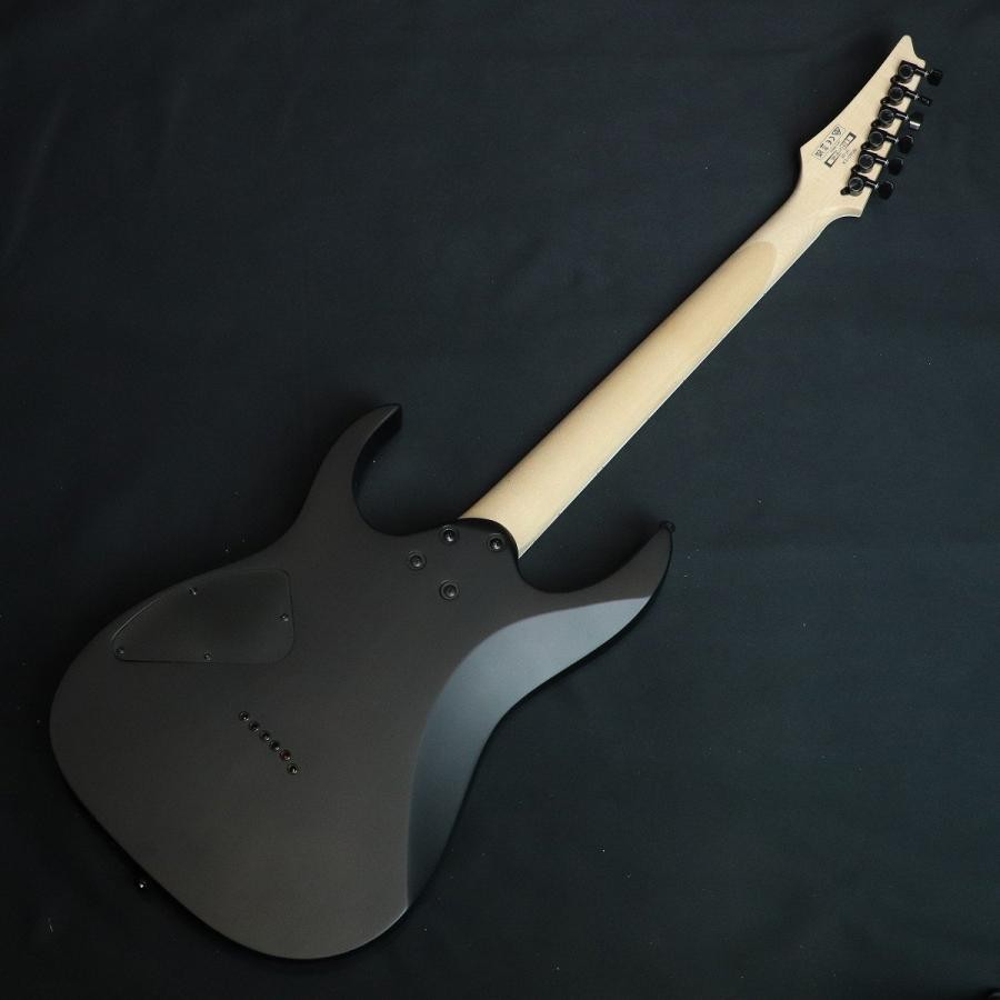 Ibanez RG421EX-BKF Black Flat with gig bag electric guitar