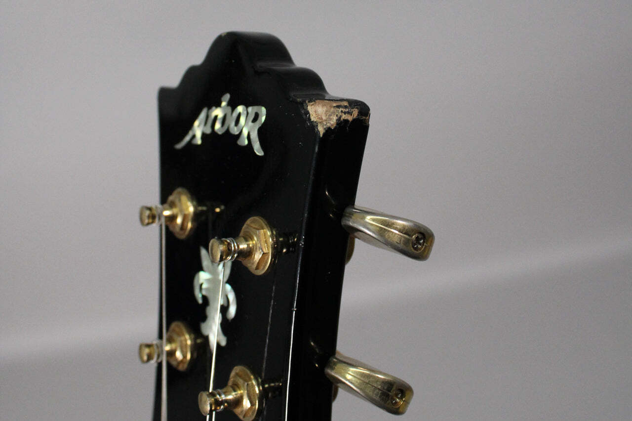 Arbor Les Paul Copy Black Gloss Finish