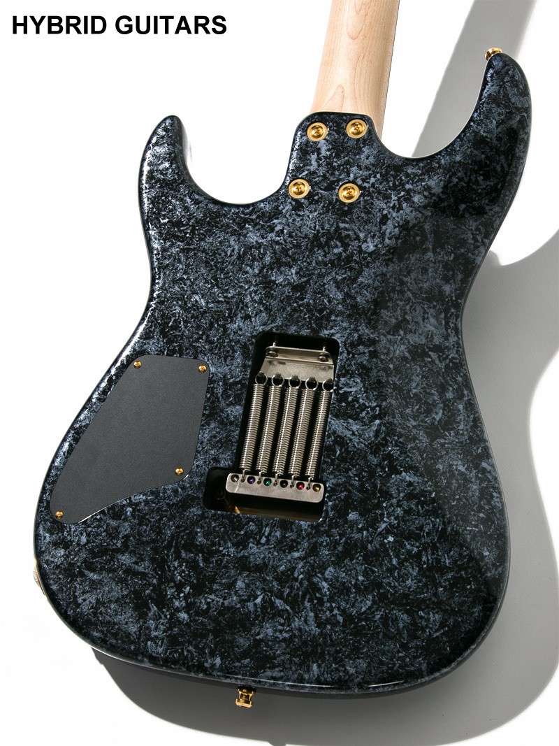 Red House Seeker S Alder/R Warp Blue Black 2020 Used Guitar