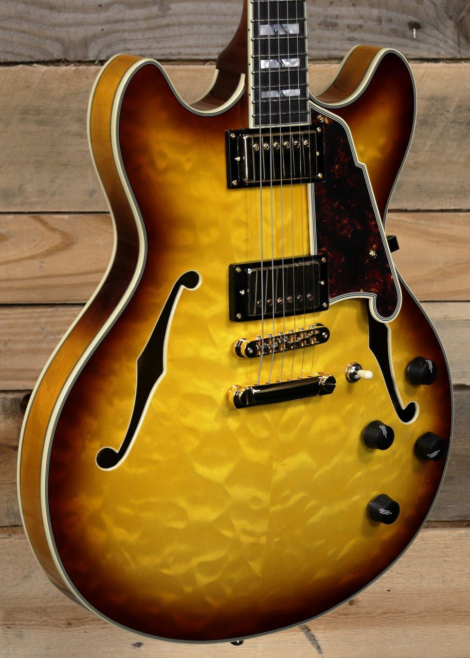 D’Angelico Excel DC XT Hollowbody Guitar Iced Tea Burst w/ Case
